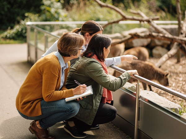 Bild zu Außerschulisches Lernen - Lehren und Lernen am außerschulischen Lernort … am Beispiel Zoo