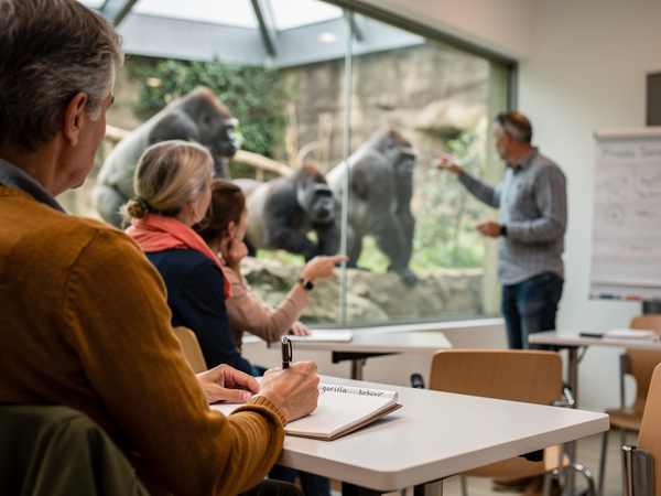 Bild zu Biologieunterricht im Kölner Zoo: Beobachten, beschreiben, erkennen - Affen, unsere nächsten Verwandten - Evolution der Primaten (Sek. I)
